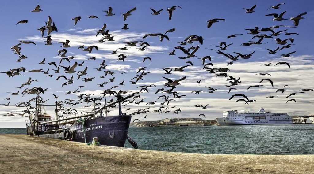 Una exposición muestra el Puerto de Alicante más desconocido en FOTOGRAFIA 