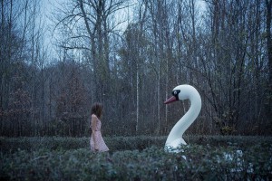 'Urlaub' de Irene Cruz, una reflexión sobre el vacío y la naturaleza en FOTOGRAFIA 