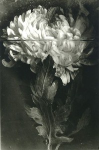 Un seminario aborda la cultura fotográfica desde cuatro objetivos en FOTOGRAFIA 