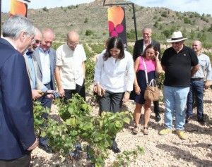 María Blasco amadrina el inicio de la vendimia en Alicante en AIRE LIBRE 