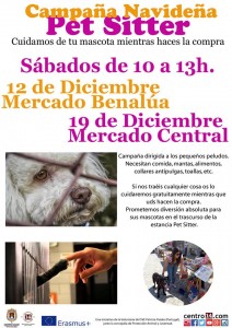 Pet Sitter, recogida de enseres y alimentos para mascotas sin hogar en ESTILO DE VIDA 