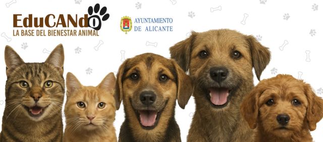 EduCANdo - Bienestar animal - Alicante EduCANdo - Bienestar animal - Alicante