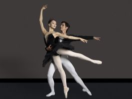 ‘El lago de los cisnes’, ‘El cascanueces’, ‘Don Quijote’, ‘Chavela’ y ‘El barbero de Picasso’: una semana de grandes títulos en el Teatro Principal